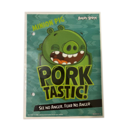 Wkłady do segregatora A6 Angry Birds Minion Pig