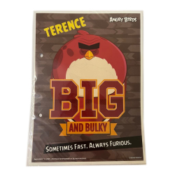 WKŁAD DO SEGREGATORA A5 ANGRY BIRDS TERENCE
