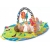 PLAYGRO mata edukacyjna Dino Gym